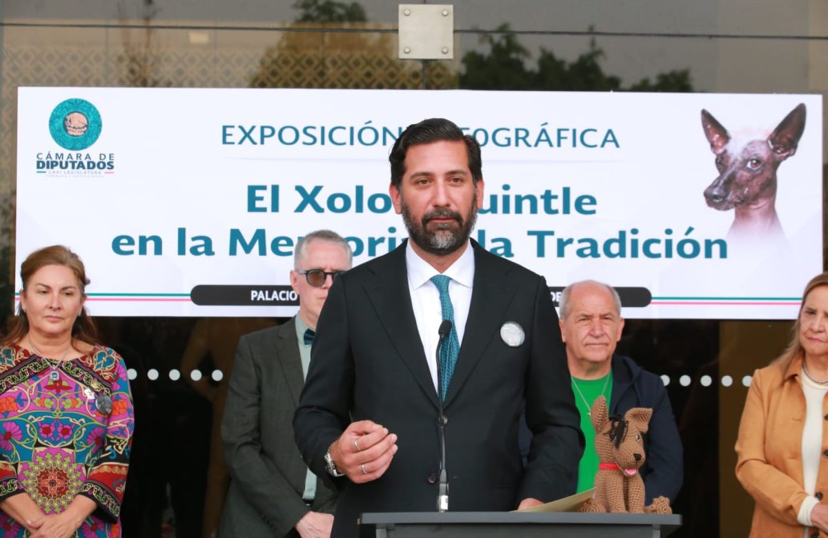 Diputados celebran el Día Nacional del Xoloitzcuintle